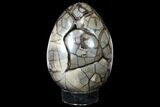 Giant, Polished Septarian Puzzle Geode ( lbs) - Black Crystals #127154-5